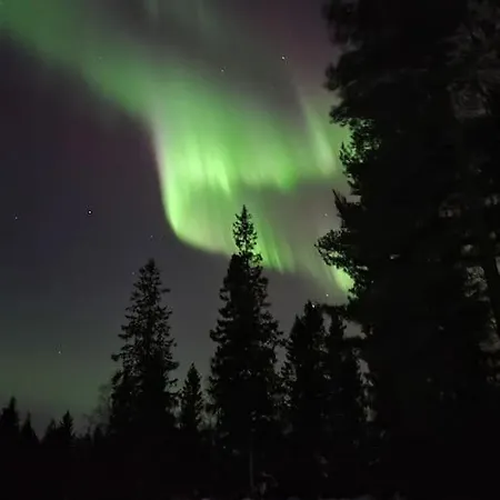 40-apartment In Center , Balcony And Free Parking Apartment *