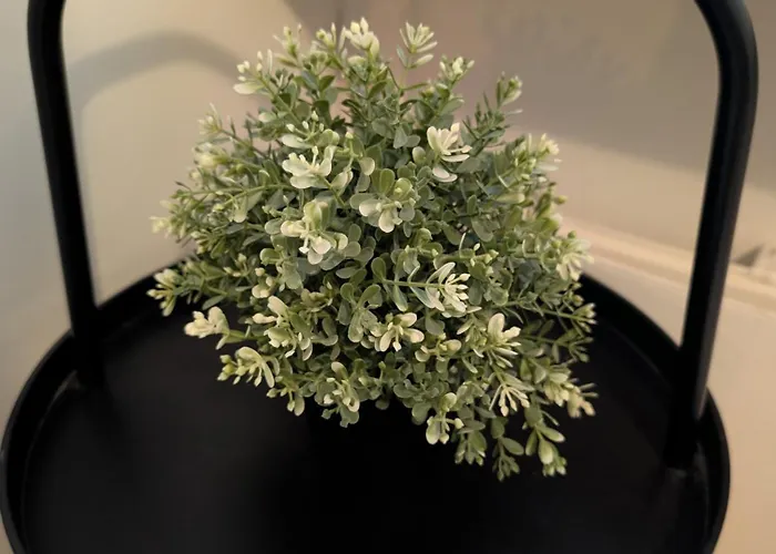 40-apartment In Center , Balcony And Free Parking * Kemi